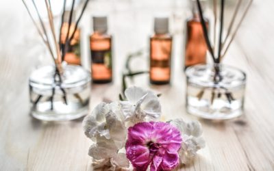 Spa Management Programs – Online Versus Classroom: Which is right for you?